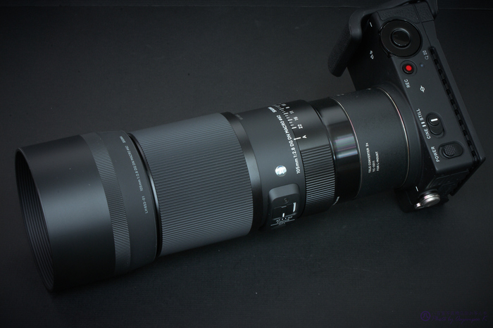 お写ん歩: SIGMA 70-200mm F2.8 DG OS HSM | Sportsアーカイブ